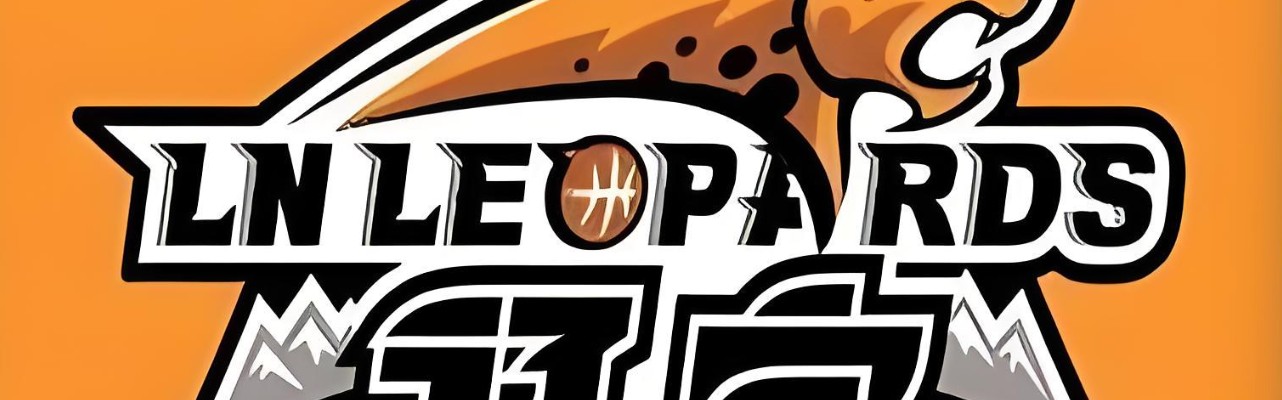 开云登录入口-从4连败到赢52分！就因为杨鸣下课？辽宁队给球迷留下4大疑惑